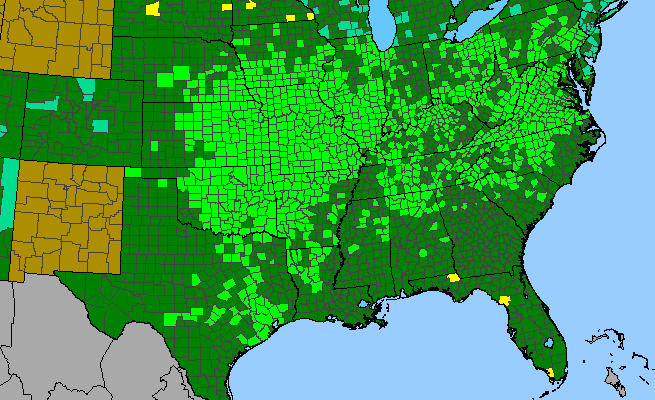 The range of Symphoricarpos orbiculatus
